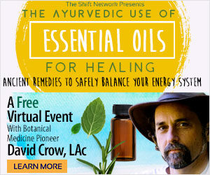 RSVP Now For The Ayurvedic Use of Essential Oils for Healing with David Crow