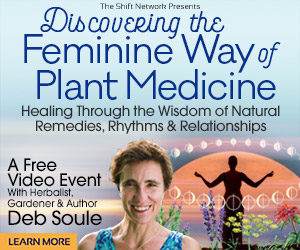 Discover Medicinal Plants And Tonic Herbs Most Essential For Women’s Health