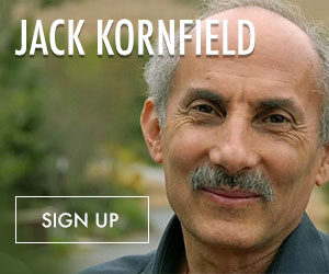 Register Now For The Jack Kornfield And Tara Brach Power Of Awareness 3 Video Series