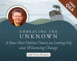 Explore the power of “In Between” with Pema Chödrön